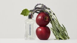 Tommy Hilfiger Tommy Eau de Toilette (EdT) 100 ml