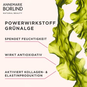 ANNEMARIE BÖRLIND SYSTEM ABSOLUTE Nachtcreme light 50 ml