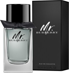 Burberry Mr. Burberry Eau de Toilette (EdT) Natural Spray 100ml