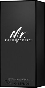 Burberry Mr. Burberry Eau de Toilette (EdT) Natural Spray 100ml