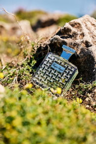 Houbigant Fougère Royale Extrait de Parfum 100 ml