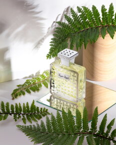 Houbigant Fougère Royale Extrait de Parfum 100 ml