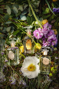 Houbigant Orangers en Fleurs Eau de Parfum (EdP) 100 ml