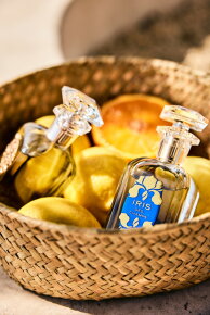 Houbigant Iris des Champs Eau de Parfum (EdP) 100 ml