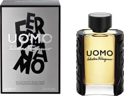 Salvatore Ferragamo Uomo Eau de Toilette (EdT) 100 ml