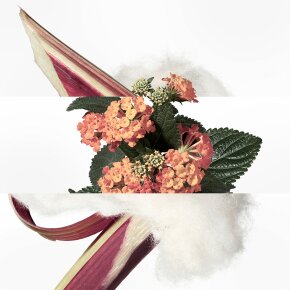 Hermès Eau de Rhubarbe Écarlate Eau de Cologne (EdC) 100 ml