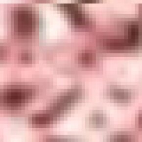 Stagecolor Cheek Powder Ice Capade Rose 2 g