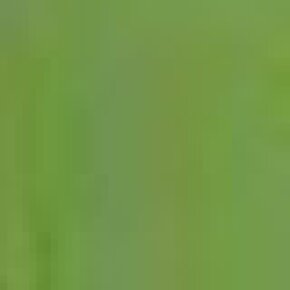 OPI Nail Lacquer New Orleans NLN60 I'm Sooo Swamped! 15 ml