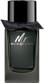 Burberry Mr. Burberry Eau de Parfum (EdP) Natural Spray 100ml