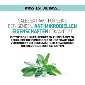 Goldwell Scalp Specialist Anti-Dandruff Shampoo 250 ml