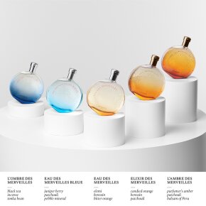 Hermès Eau des Merveilles Eau de Toilette (EdT) 30 ml