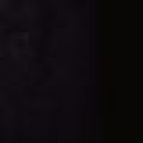 Efalock Duchesse Haarklemmen 5 cm 12 Stk. schwarz