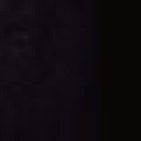 Efalock Timer Balance schwarz