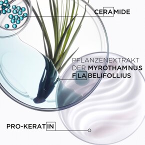 Kérastase Resistance Bain Force Architecte 250 ml