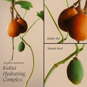 Lanza Healing Moisture Kukui Nut Conditioner 250 ml