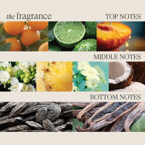 Lanza Healing Moisture Kukui Nut Conditioner 250 ml