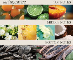 Lanza Healing Moisture Tamanu Cream Shampoo 300 ml