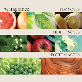 Lanza Healing Volume Thickening Conditioner 250 ml