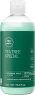 Paul Mitchell Tea Tree Special Shampoo