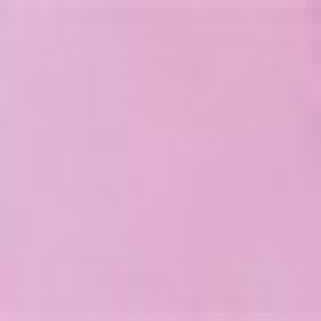 The Wet Brush Shine Lovin Lilac