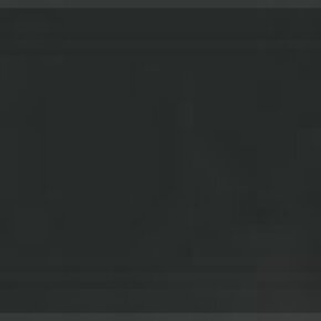 The Wet Brush Lil'Detangler Black