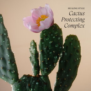 Lanza Healing Style Dry Shampoo 300 ml