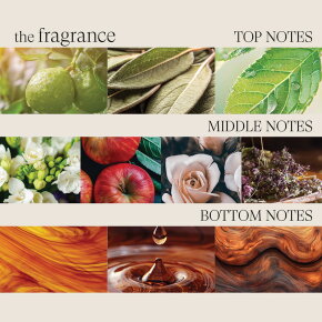 Lanza Healing Style Dry Shampoo 300 ml