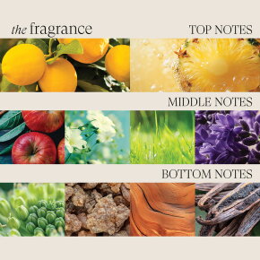 Lanza Healing ColorCare Clarifying Shampoo 300 ml